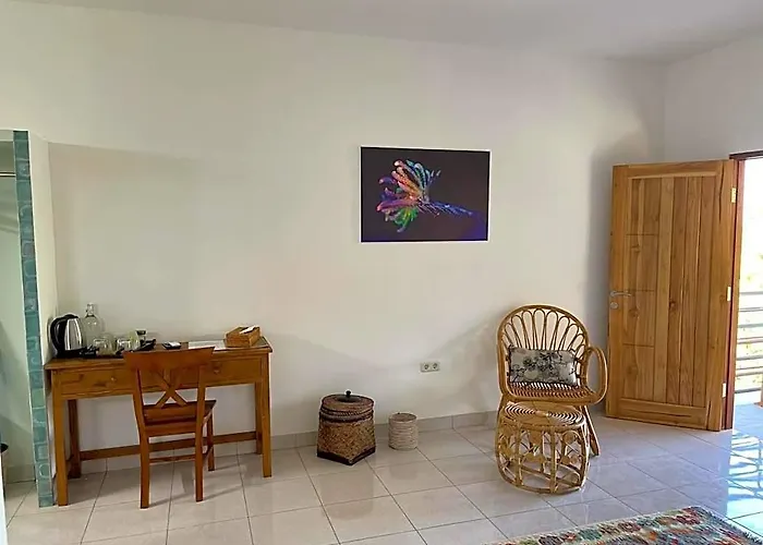 Fish In Air Tulamben Dive リゾート